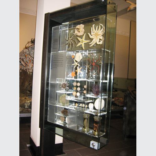 Glass Display Cases