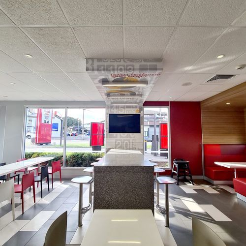 Ceiling Panels