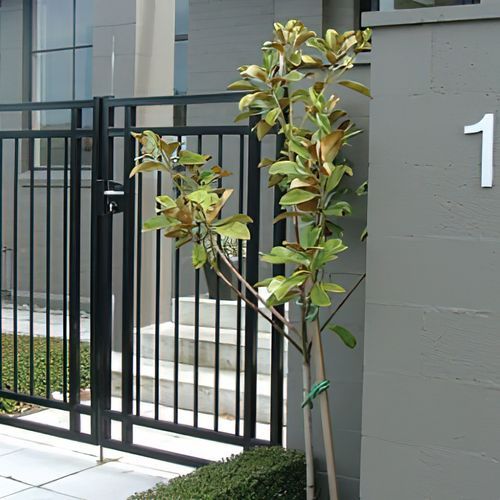 Tubular Pathway Gates