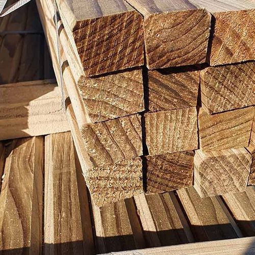 Sheep Grating Pine Timber
