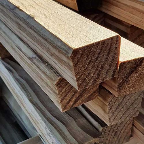 Sheep Grating Pine Timber