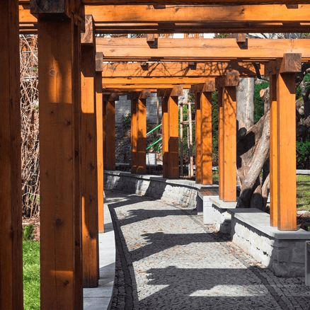 Exposed Macrocarpa Timber Beams