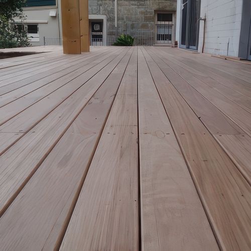 Blackbutt