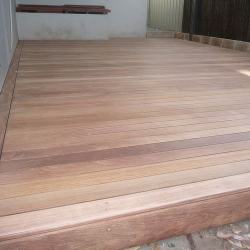 Spotted Gum