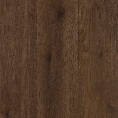 Chestnut