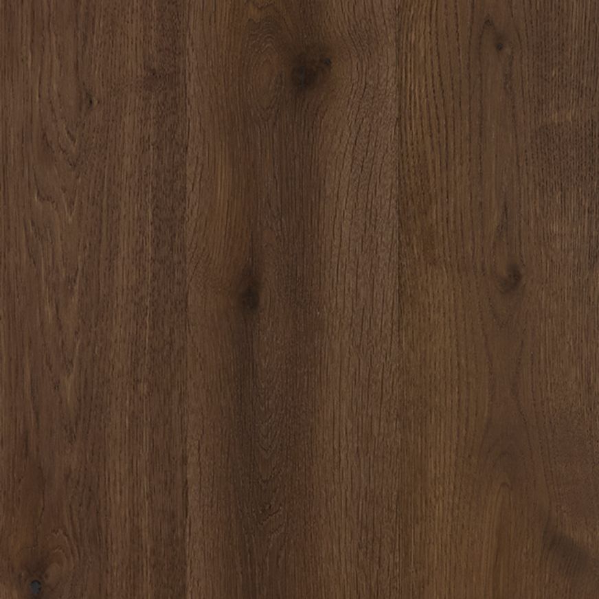 Chestnut