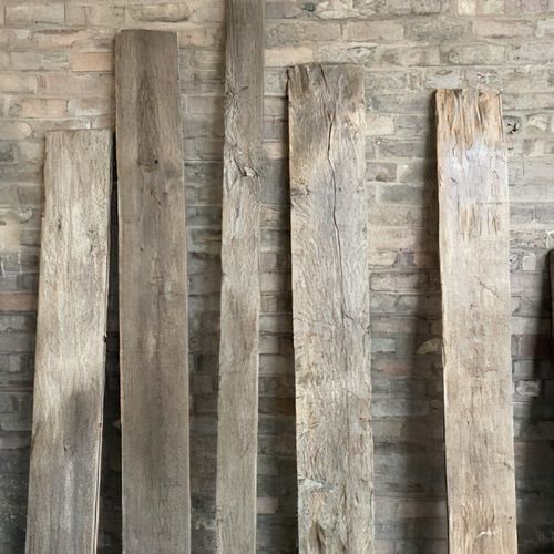 European Oak