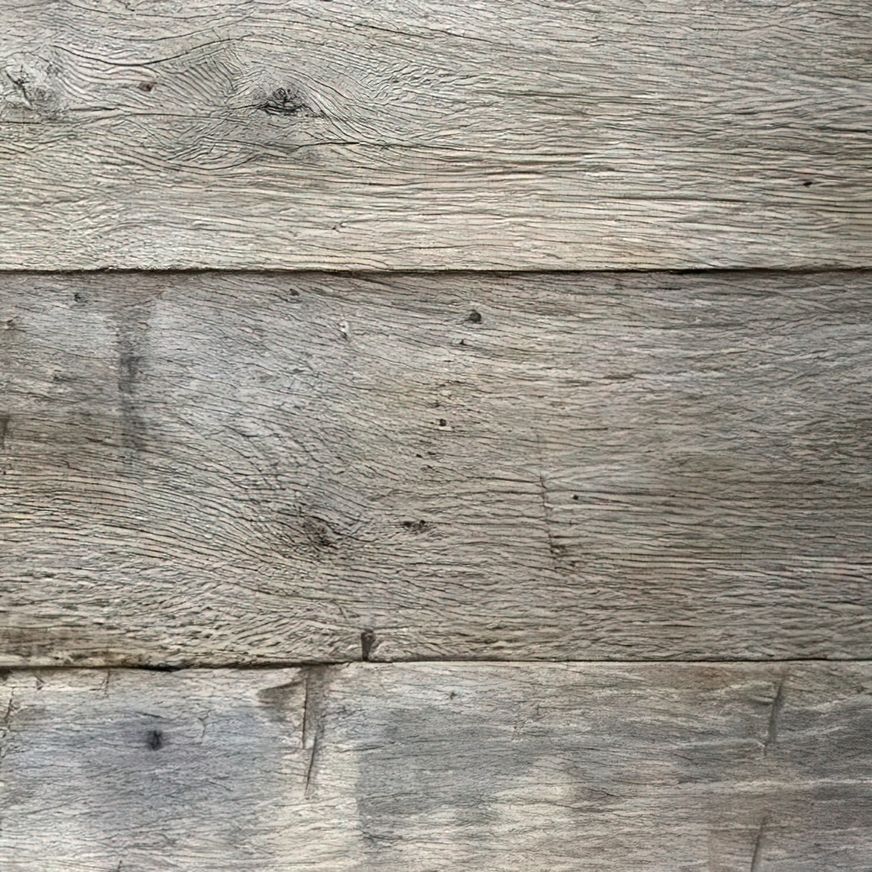 European Oak