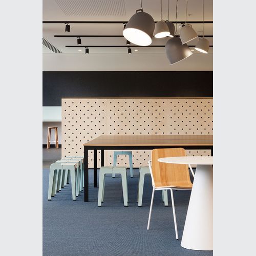 DesignerPly Perforated