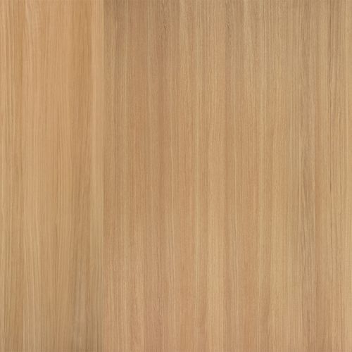 Natural Adagio Smooth Querkus Unfinished Timber Veneer