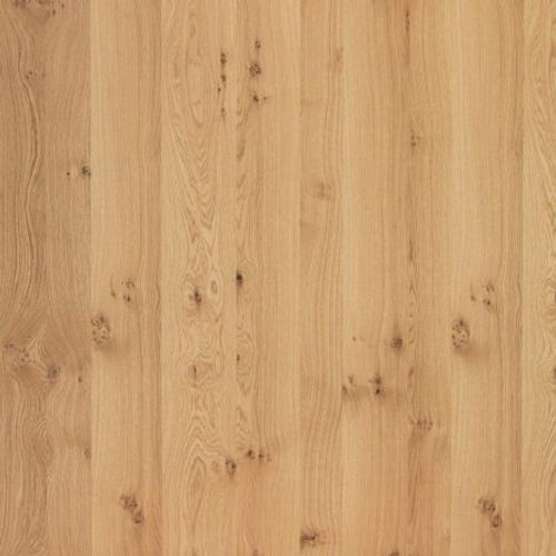 Natural Vivace Brushed Querkus Unfinished Timber Veneer