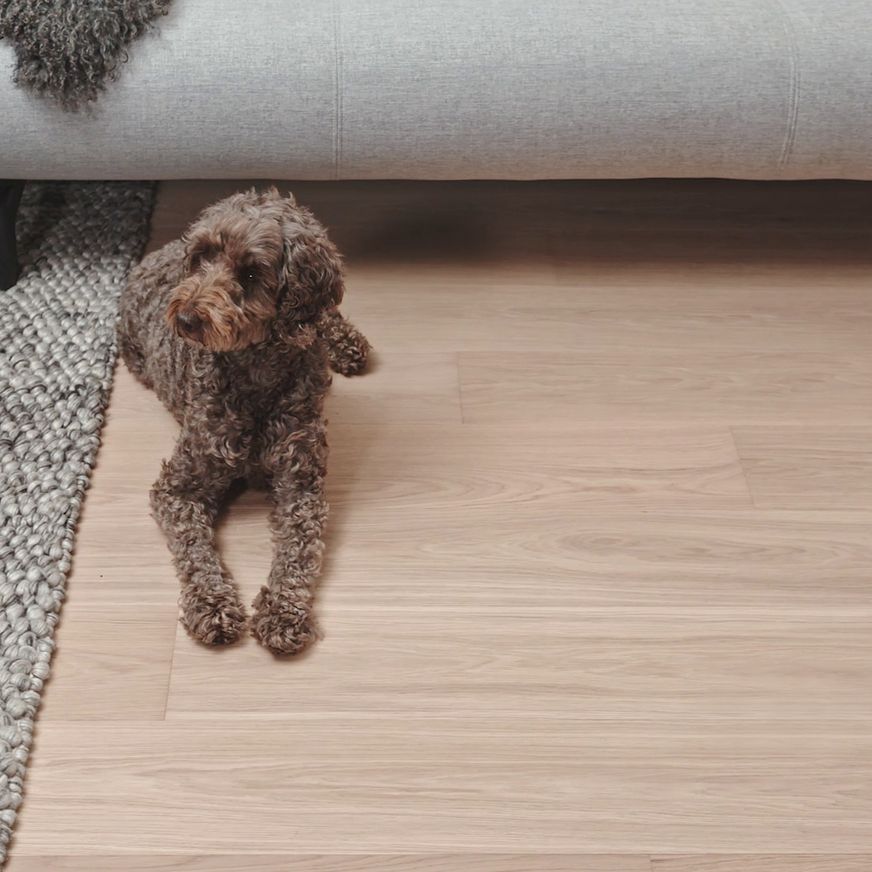 Moda Flooring Collection