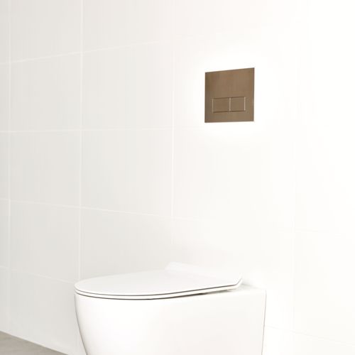 Milu Odourless Wall Hung Toilet Pan & Cistern - Crest