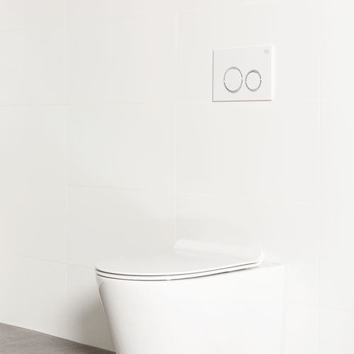 Milu Odourless Floor Mounted Pan & In-Wall Cistern Mod