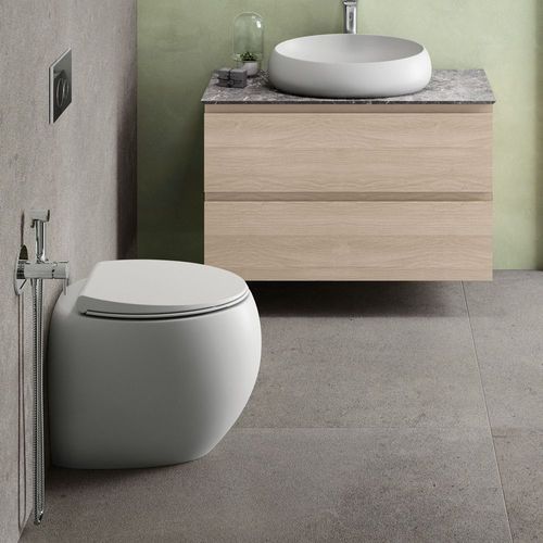 RAK Cloud Wall-Faced Toilet Suite