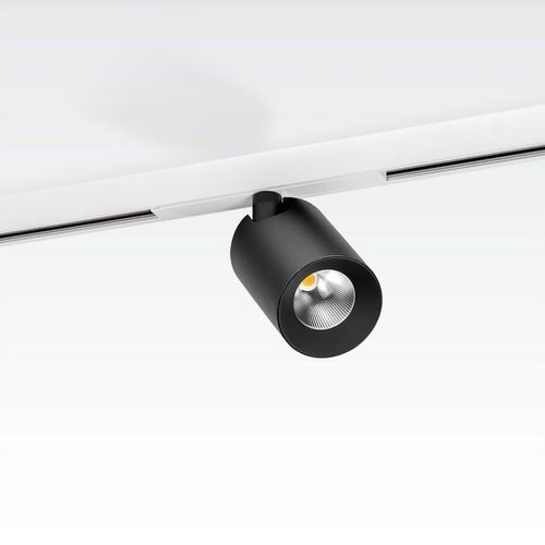 48V Track Mounted Light