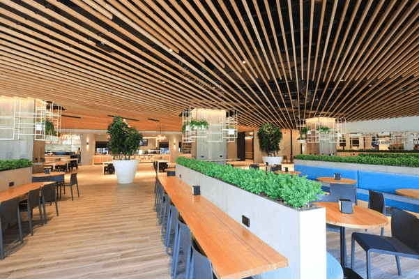 Timberline Plus | Well Versed Plus