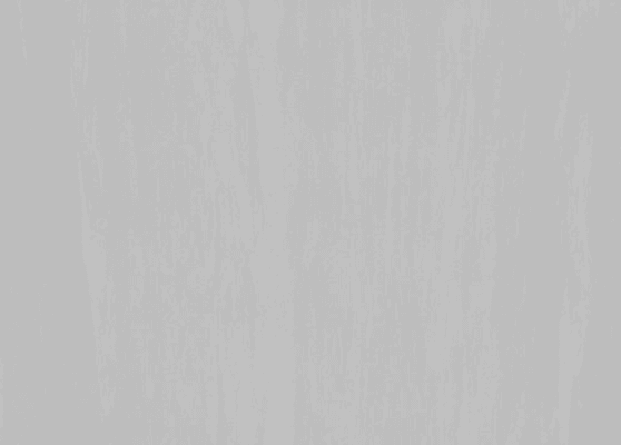 Armalon NG | Silver Grey