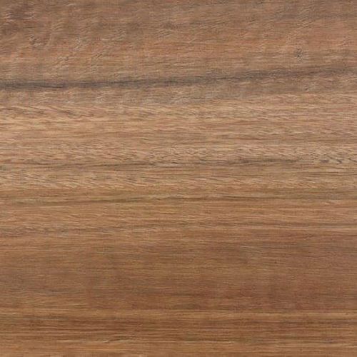 Aussie Plank