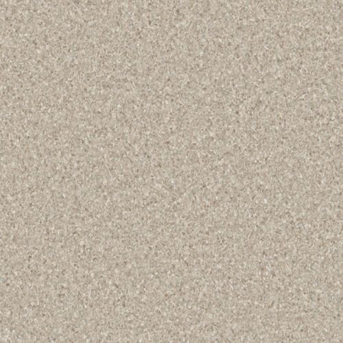 Accolade Plus | Cappuccino