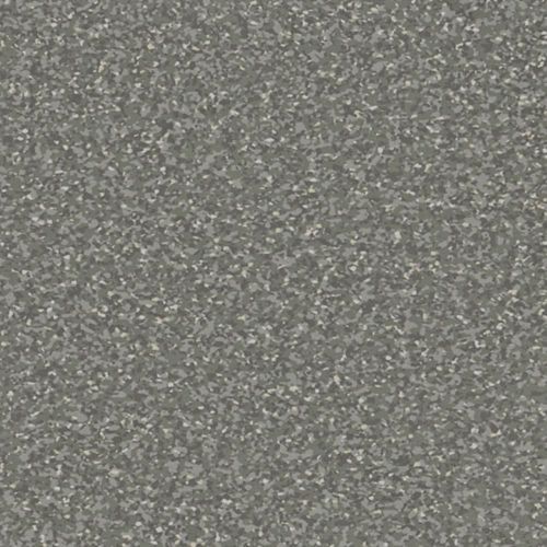 Australis | Hervey Grey