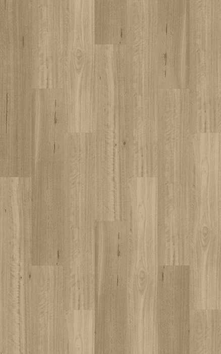 Kingswood 1.5 | Somerset Blackbutt