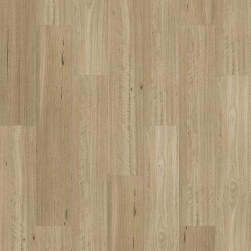 Kingswood 1.5 | Somerset Blackbutt