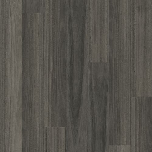 Kingswood Australis | Ancient Gum