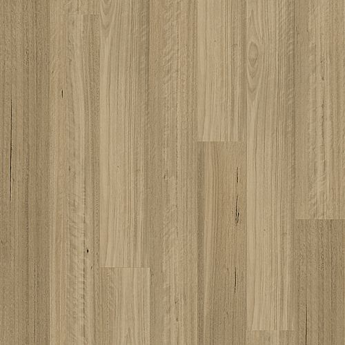 Kingswood Australis | Somerset Blackbutt