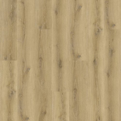 Natural Creations ArborArt | Summer Oak