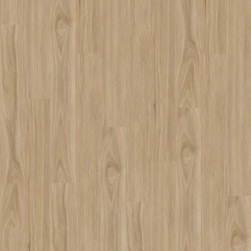 Natural Creations ArborArt | Twilight Tasmanian Oak