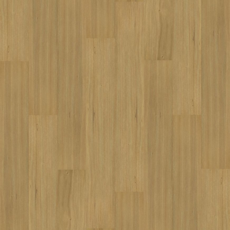 Natural Creations XL | Tasmanian Oak