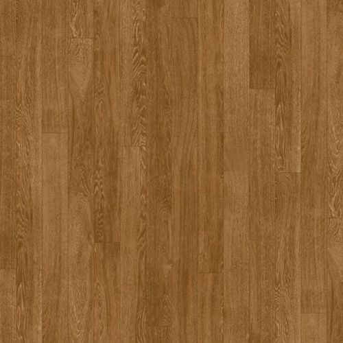 Timberline Plus | Solid Plus