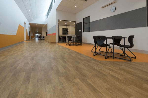 Timberline Plus | Solid Plus
