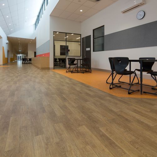 Timberline Plus | Solid Plus