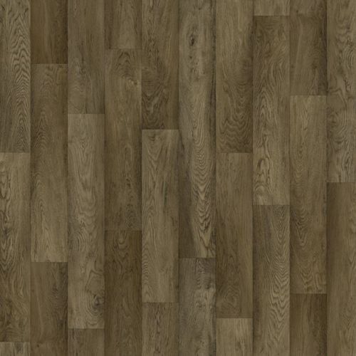 Timberline Plus | Well Versed Plus
