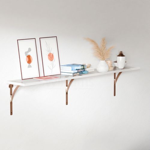 Lucite Shelf Rack