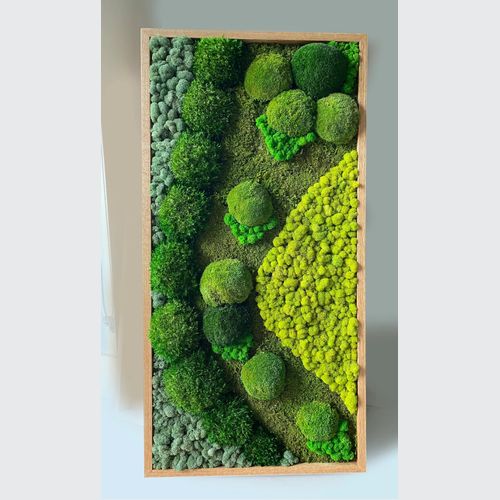 Moss Wall Art - RollingRock