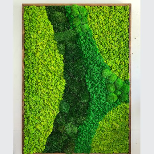 Moss Wall Art - Cordillera
