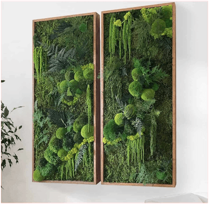Moss Wall Art - Hanging Forest