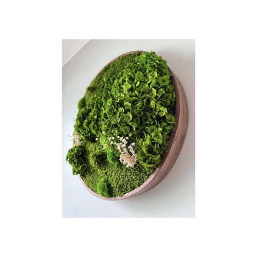 Round Moss Wall Art - Horten
