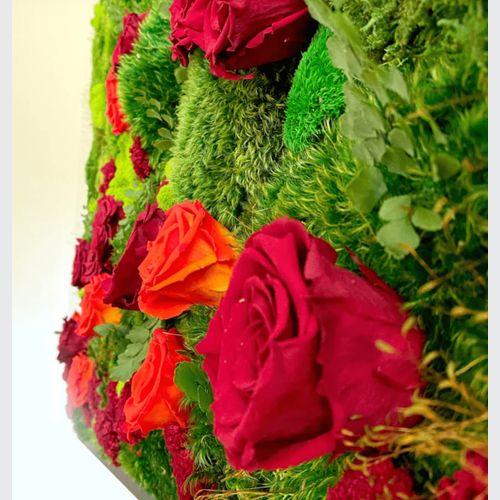 Moss Wall Art - Jardín De Rosas