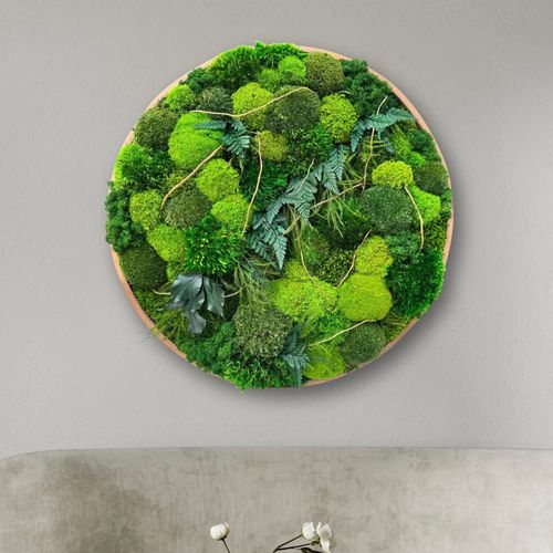 Round Moss Wall Art - Leticia
