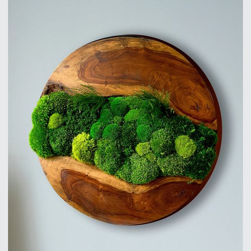 Round Moss Wall Art - Live Edge Wood