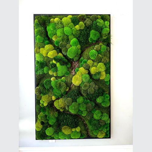 Moss Wall Art - Corteza