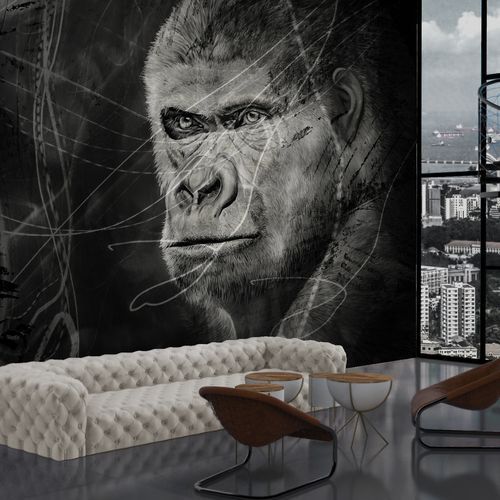 Walls Beyond Collection 21 - Wall Murals