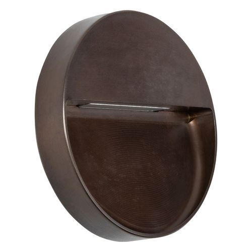 Nocturnal Possum Wall Light