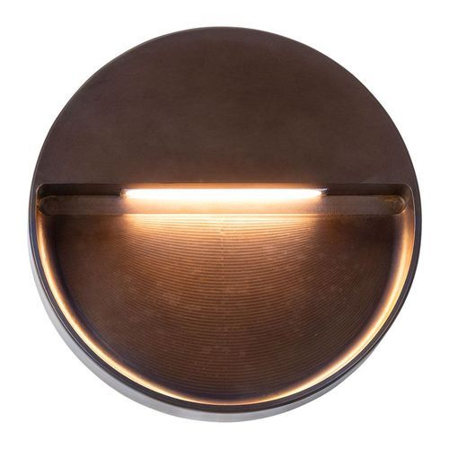 Nocturnal Possum Wall Light