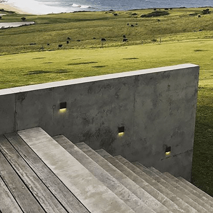 Nocturnal Dunnart Wall Light