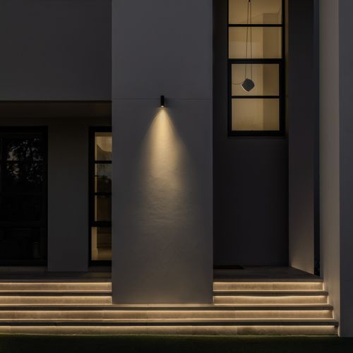 Nocturnal Firefly Fixed Down Wall Light